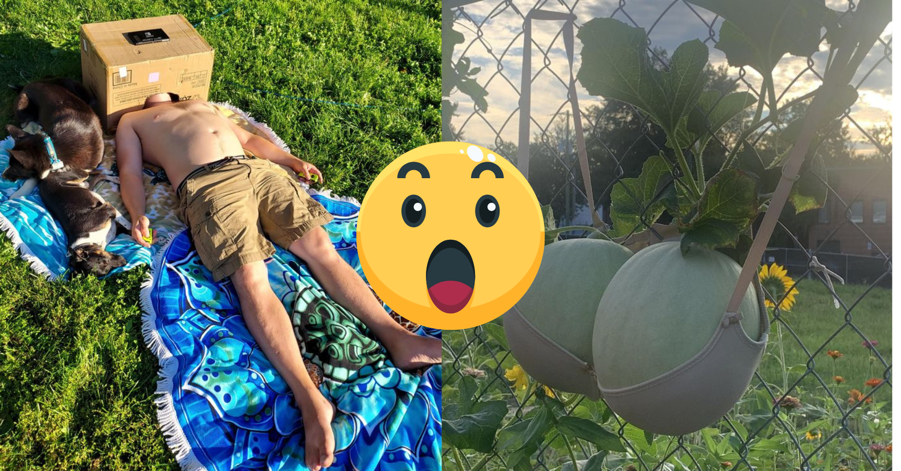 Pre týchto 16 ľudí neexistuje problém, ktorý nemá riešenie. Odpadnete z toho, čo dokázali vymyslieť !