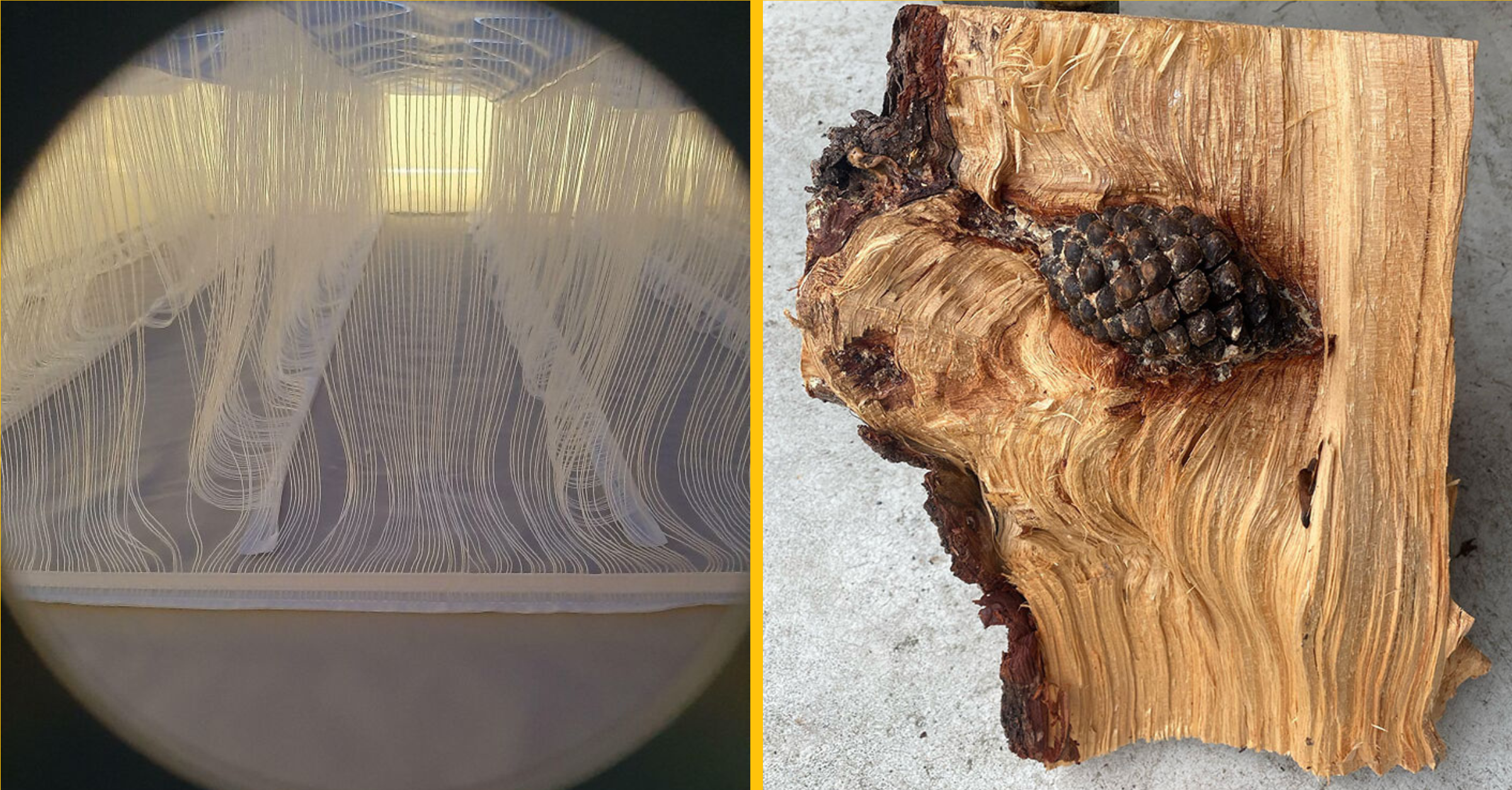 Títo ľudia boli prekvapení, čo sa skrýva vo vnútri bežných predmetov