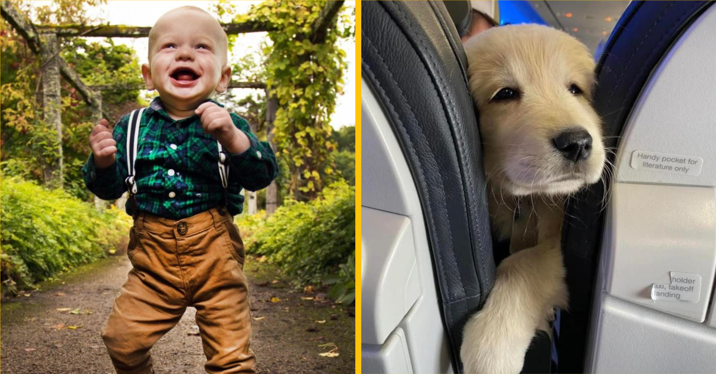 Pri týchto obrázkoch sa vaše srdce roztopí ako zmrzlina za slnečného dňa