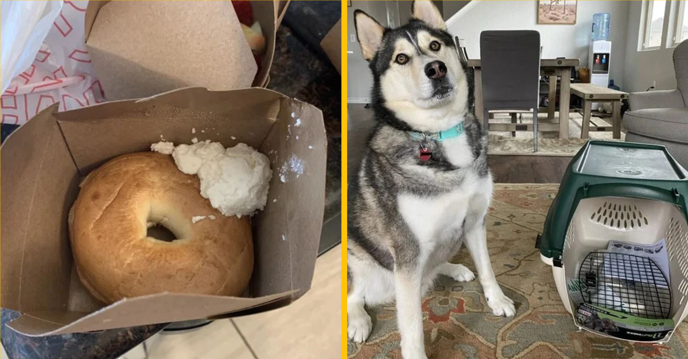 17 nešťastných ľudí, ktorí nedostali nič iné ako sklamanie