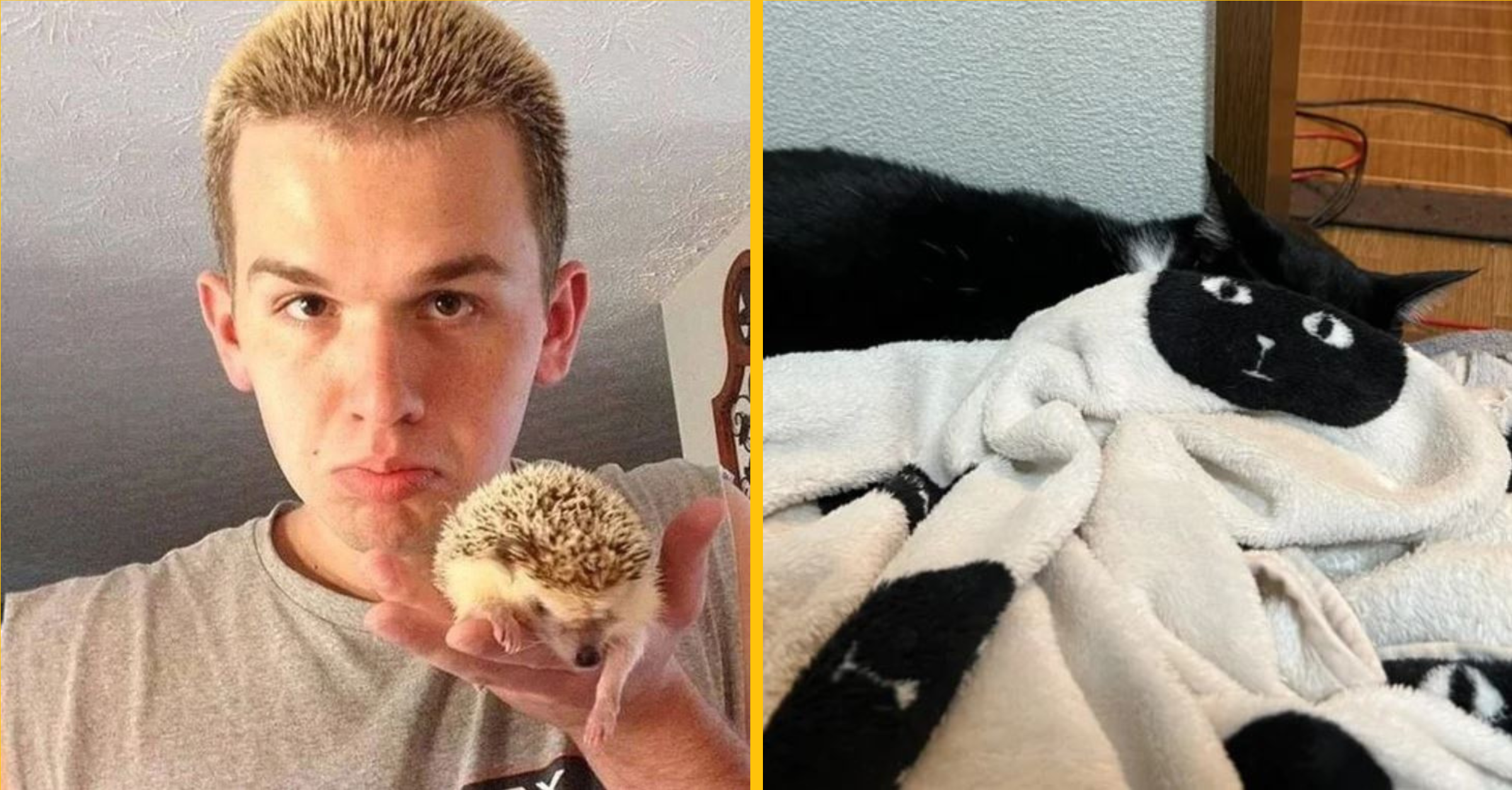 Mimoriadne náhody, ktoré sa niekomu pošťastilo zachytiť