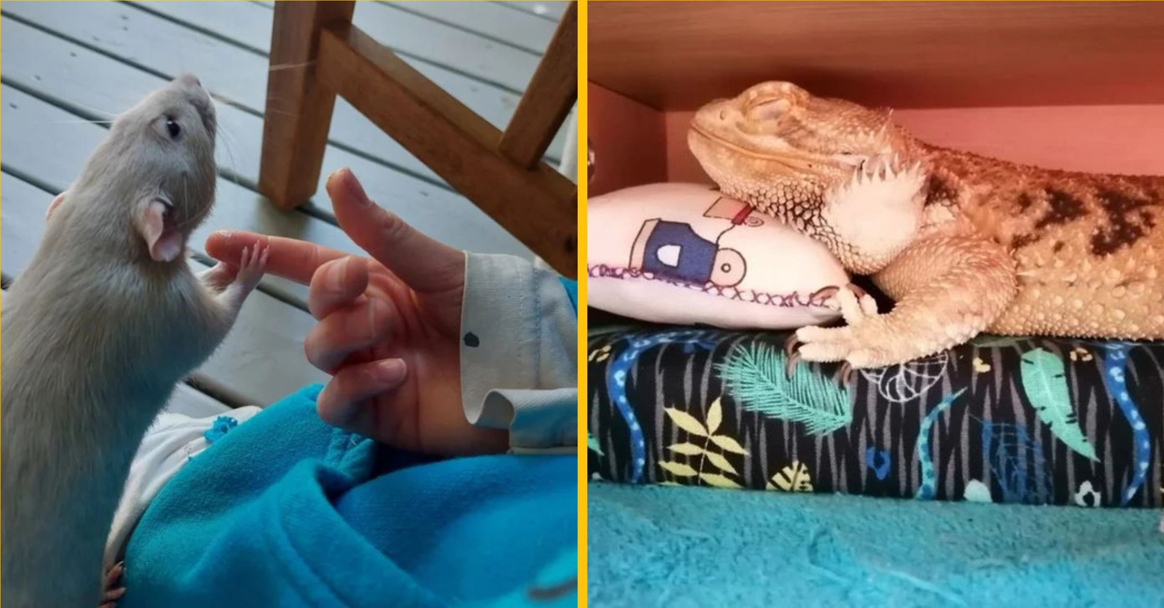 Týchto ľudí život odmenil veľmi milými prekvapeniami