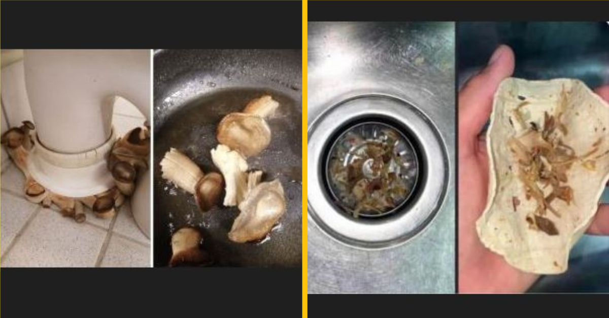 Títo ľudia zničili jedlo tým najhorším možným spôsobom