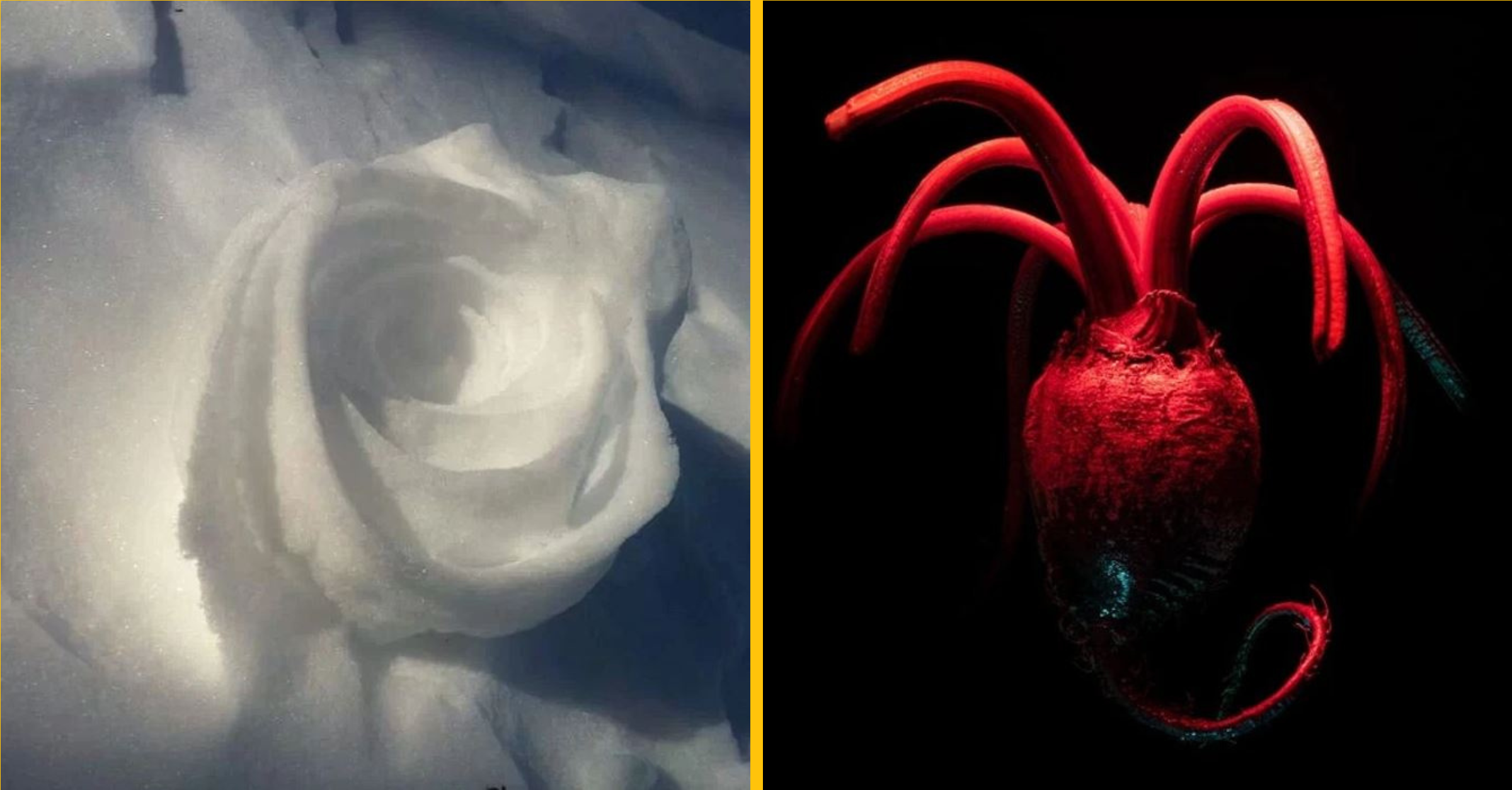 26 perfektne načasovaných obrázkov, ktoré naštartujú vašu predstavivosť