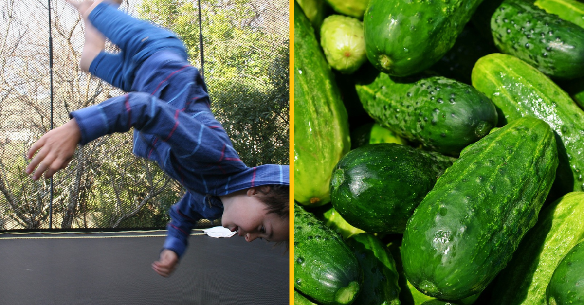 11 rodinných historiek, ktoré dokazujú, že bežný život je veľakrát vtipnejší ako akýkoľvek sitkom