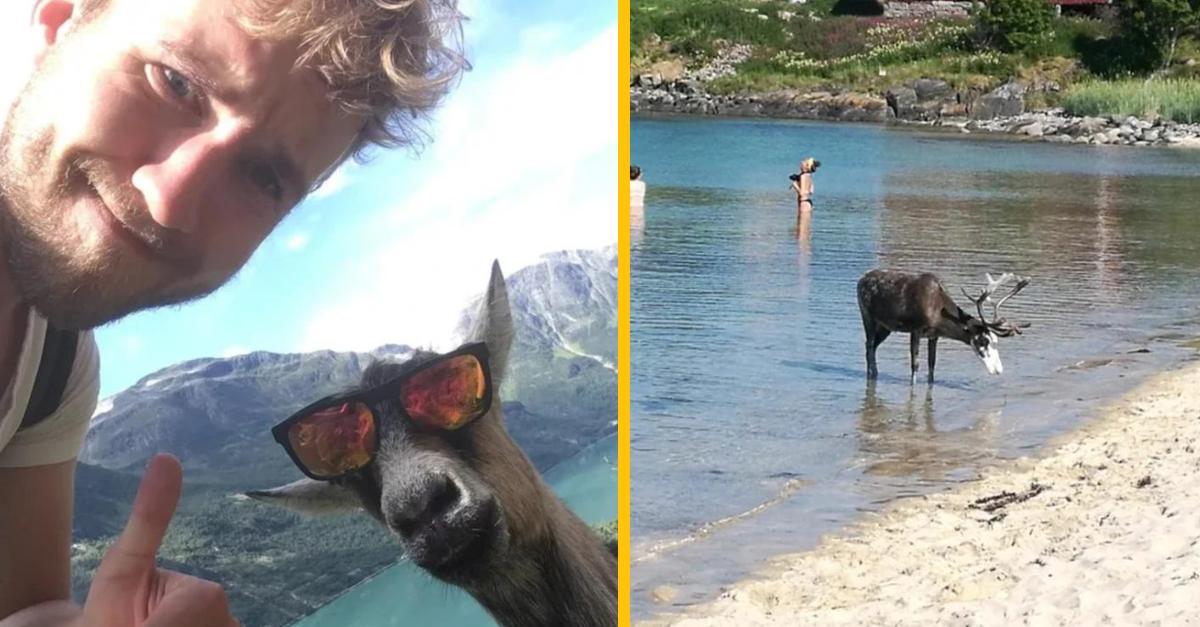 14 netradičných fotiek z Nórska, ktoré vás uchvátia