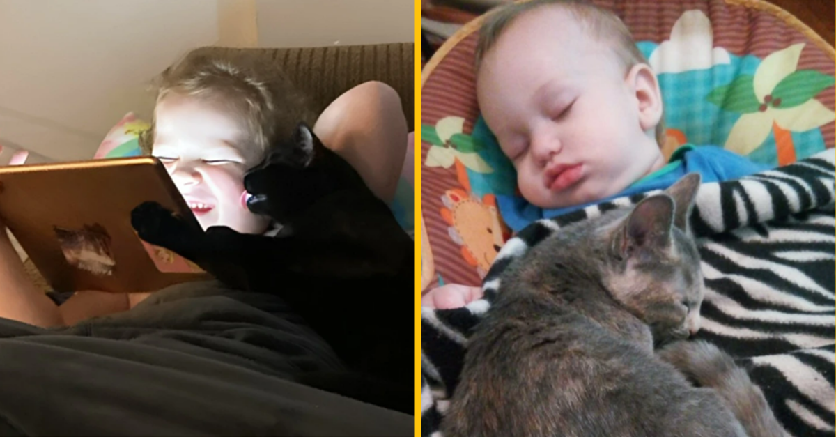 15 roztomilých fotiek, ktoré ukazujú priateľstvo medzi deťmi a ich zvieratkami