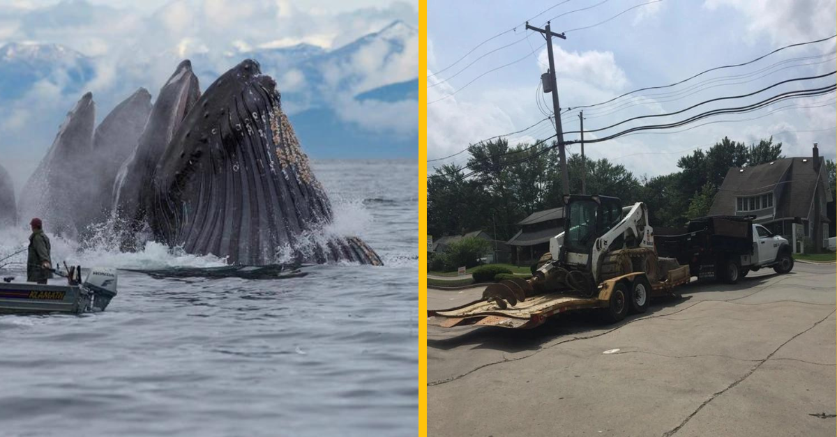 15 ľudí, ktorým sa podarilo zachytiť výnimočné veci