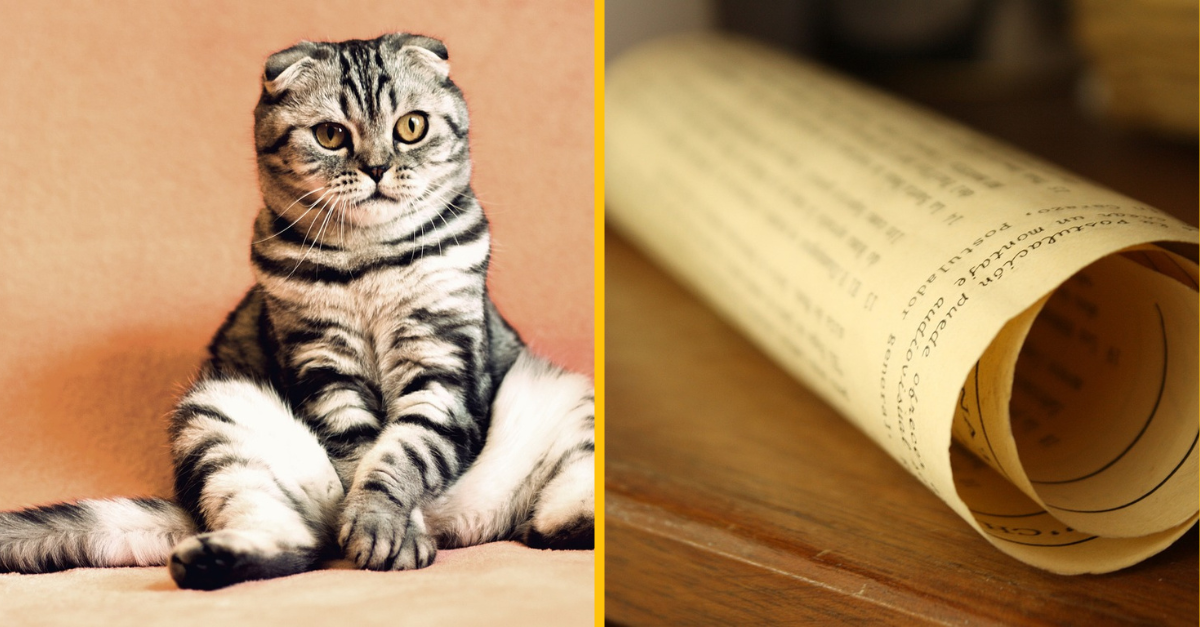 Týchto 11 rôznych príbehov dokazuje, že pravda vždy vyjde najavo