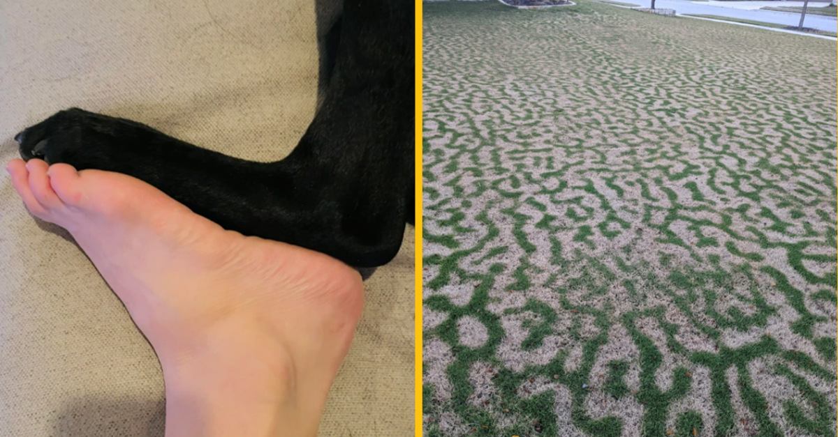 Týchto 12 ľudí objavilo niečo, čo sa len tak ľahko nevidí