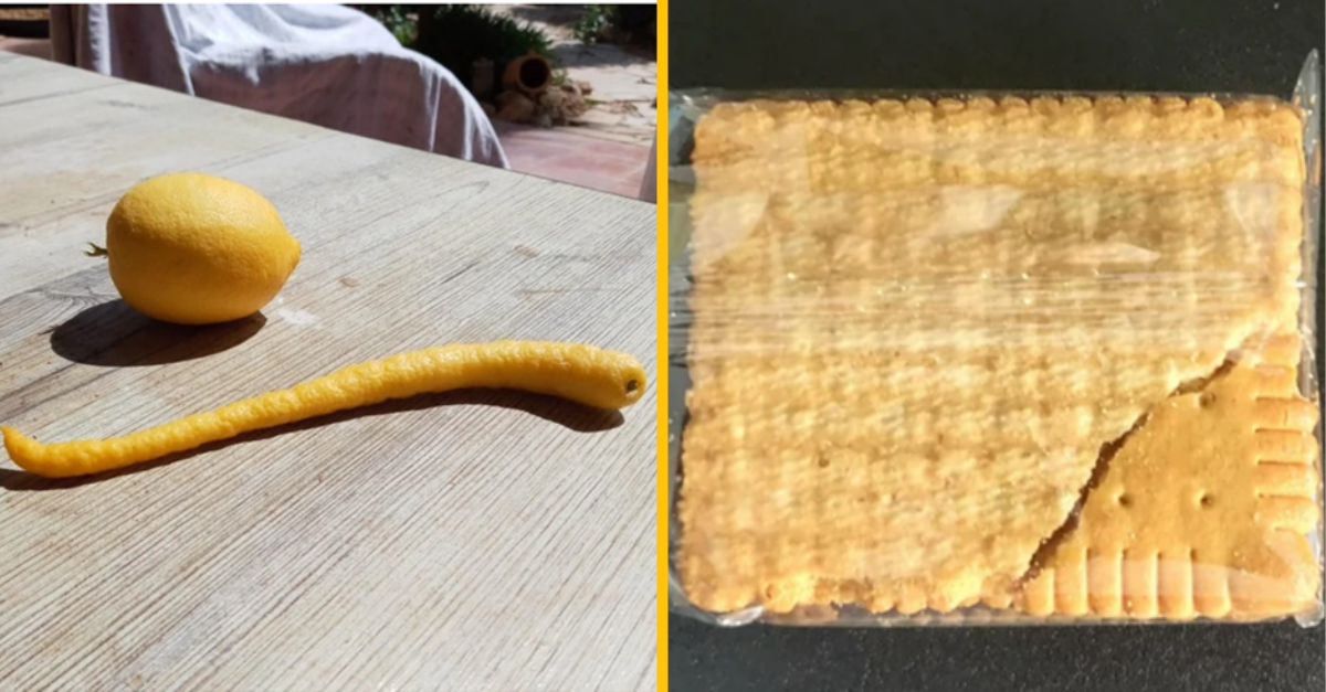 Týchto 10 ľudí objavilo niečo neobyčajné v obyčajných veciach