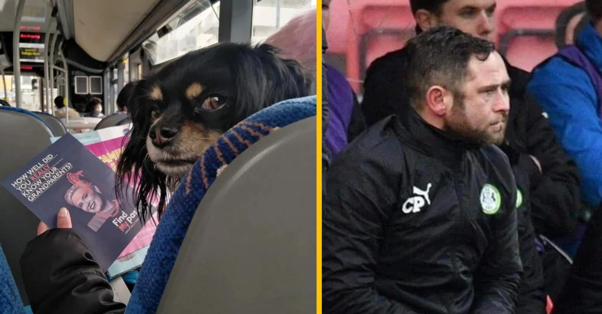 13 obrázkov, pri ktorých budete pochybovať o vašom zraku (2. časť)