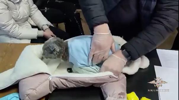 Obliekla mačku ako bábätko. Takto sa žena pokúsila prepašovať drogy!