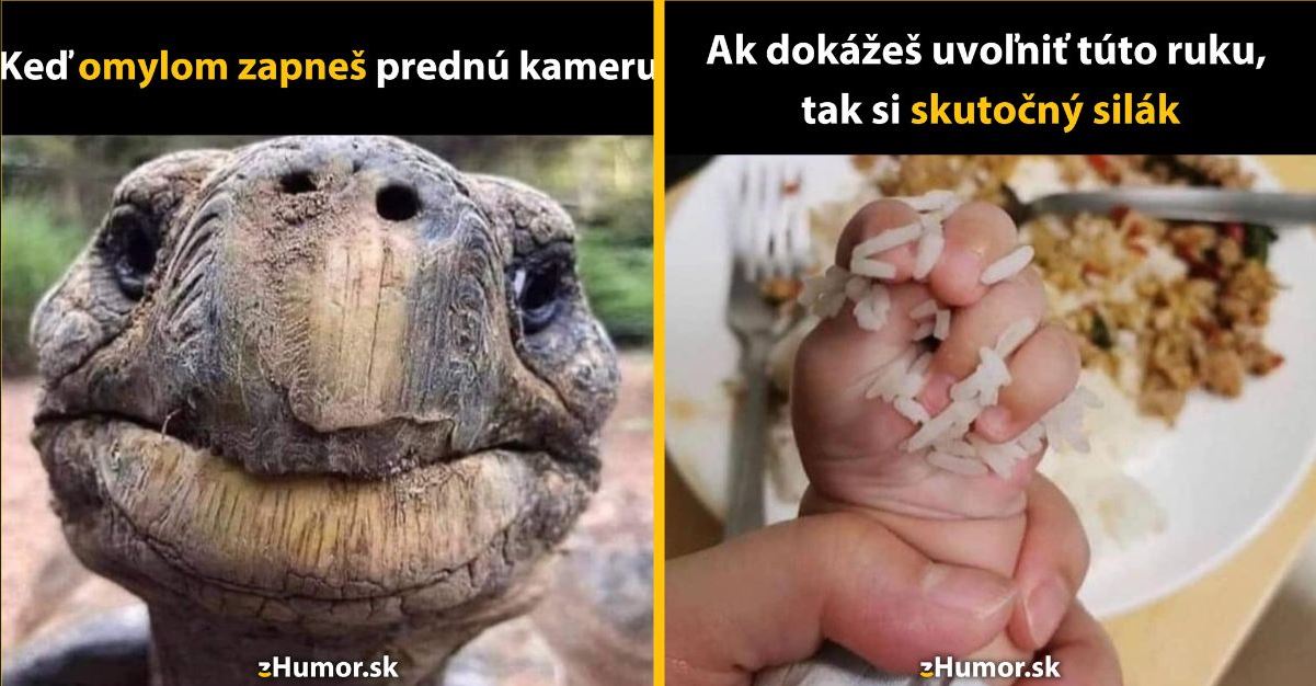 Zopár memečiek, ktoré vznikli, aby ti spríjemnili deň #1297: Aký je dnes vôbec deň?