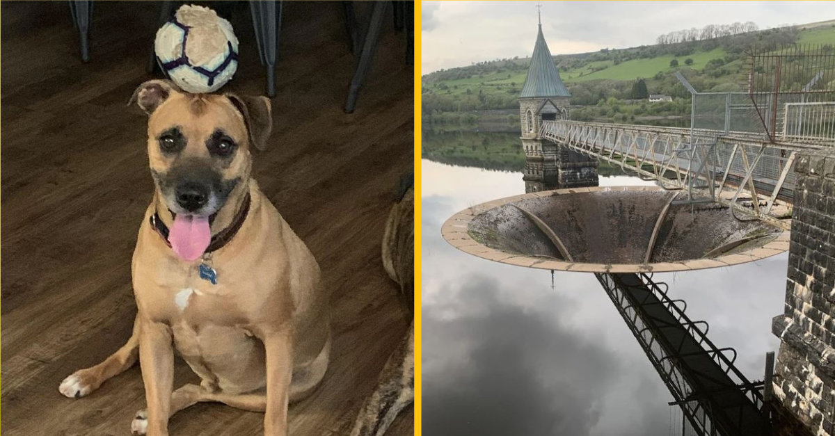 17 fotiek, ktoré vaše oči nie sú pripravené rozlúštiť na prvý pohľad