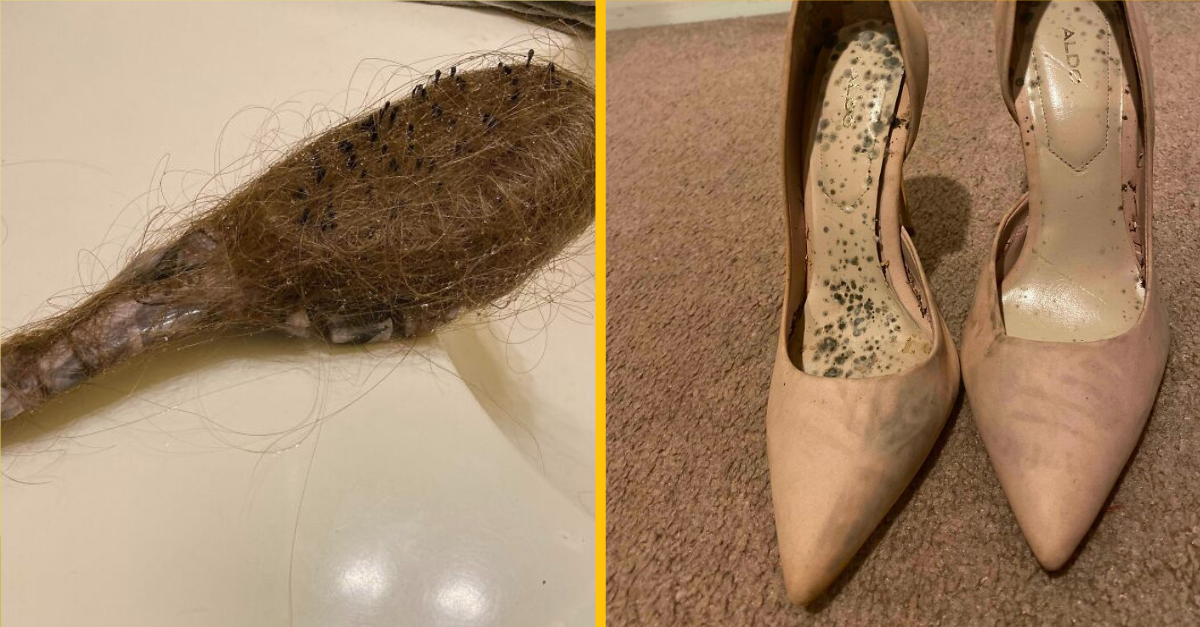 V každej rodine sa nájdu aj jej menej znesiteľní členovia