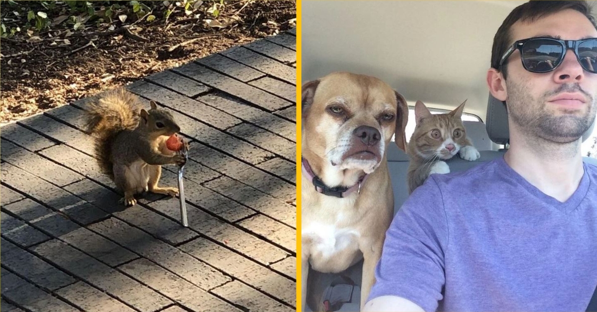 18 ľudí, ktorí presne vedeli, kedy stlačiť spúšť fotoaparátu