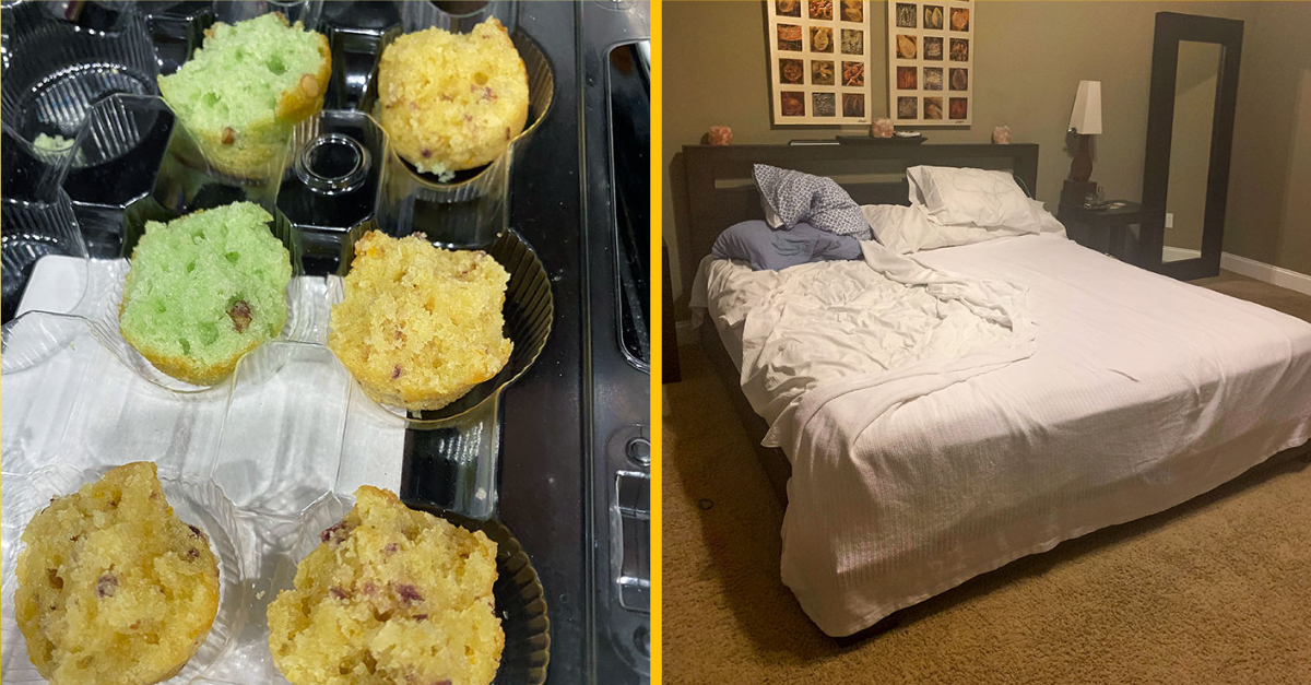 Tieto fotky ukazujú, ako môže byť spolužitie niekedy poriadne frustrujúce