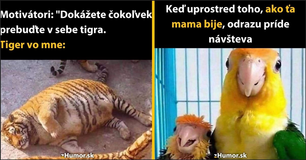 Zopár memečiek, ktoré vznikli, aby ti spríjemnili deň #1295: Prebuďte v sebe tigra a dokážete čokoľvek.