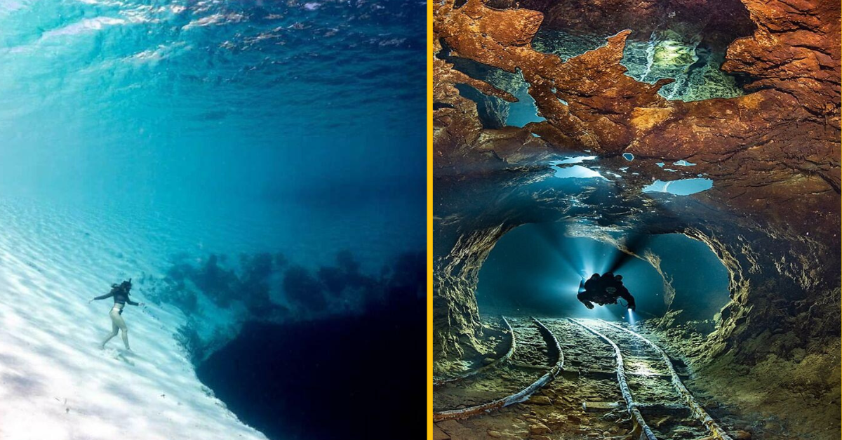 15 oceánskych a podvodných fotiek, ktoré vás uchvátia a zároveň mierne vystrašia