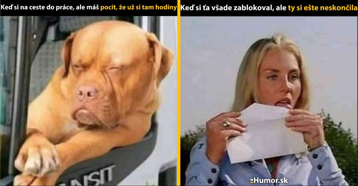 Zopár memečiek, ktoré vznikli, aby ti spríjemnili deň #1308: Cítim sa, akoby som tam už bol.