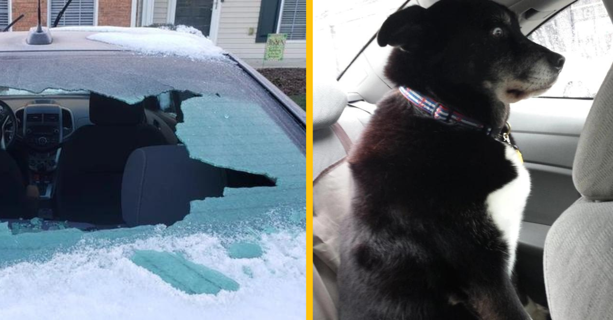 14 ľudí, ktorí sa s ostatnými podelili o ich zlyhania