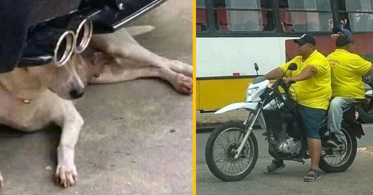 14 výnimočných náhod, ktoré si ľudia všimli