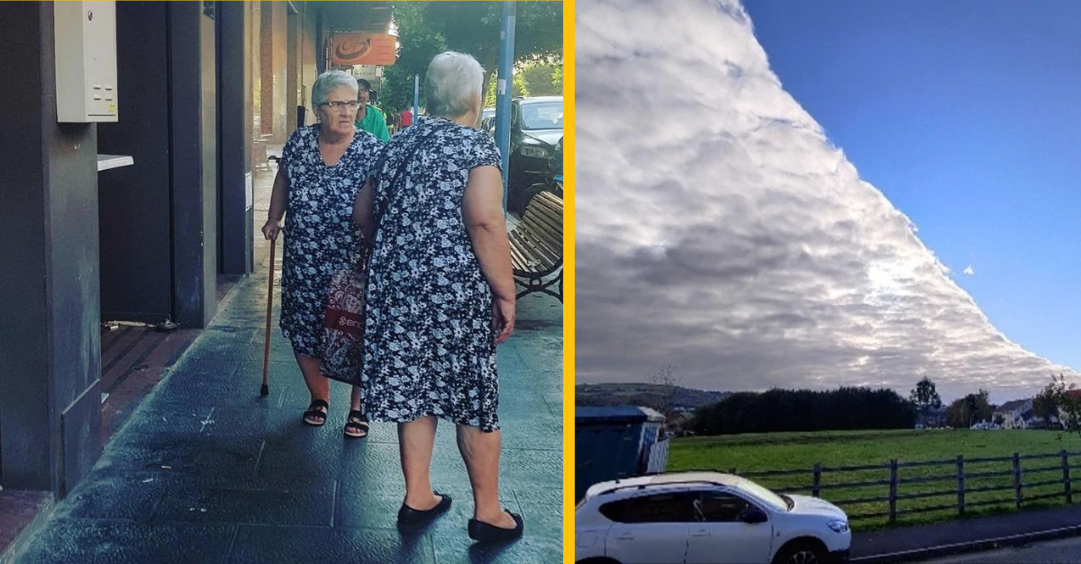 17 bizarných momentov, ktorým by sme neuverili, keby neboli zachytené na fotke