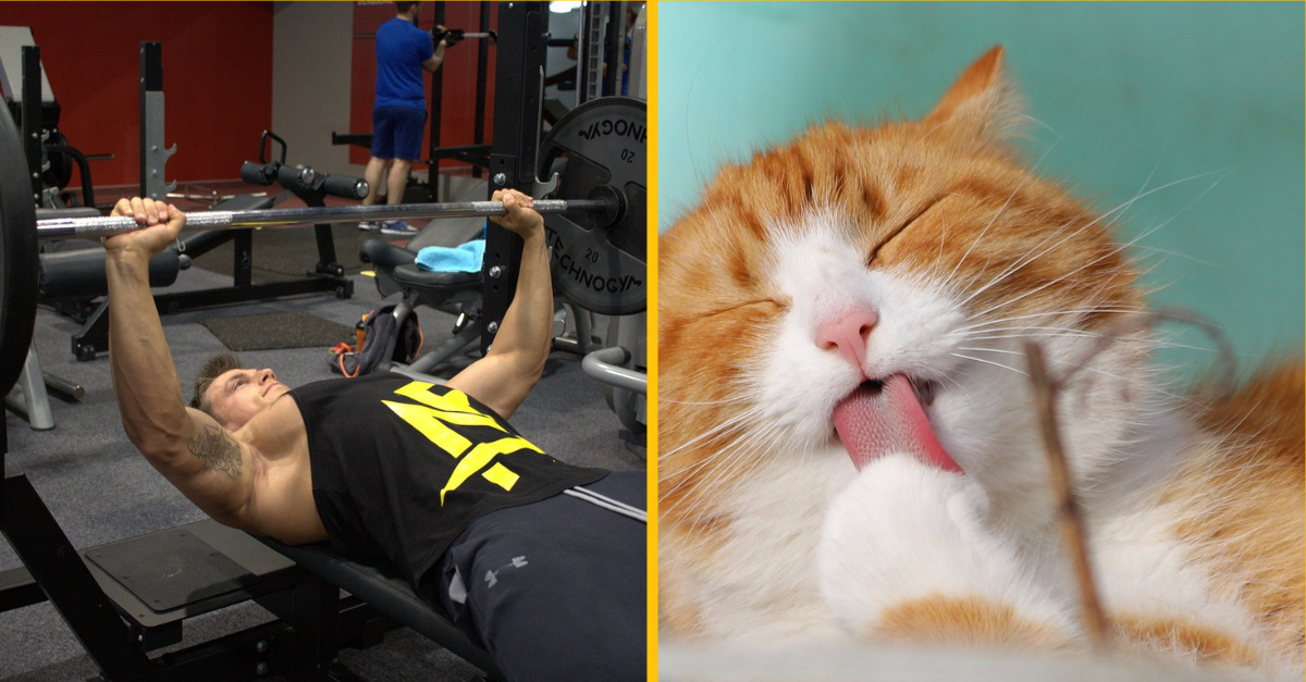 8 personalistov prezradilo, čo ich na životopisoch zaujalo a kvôli čomu ľudia naopak pohoreli