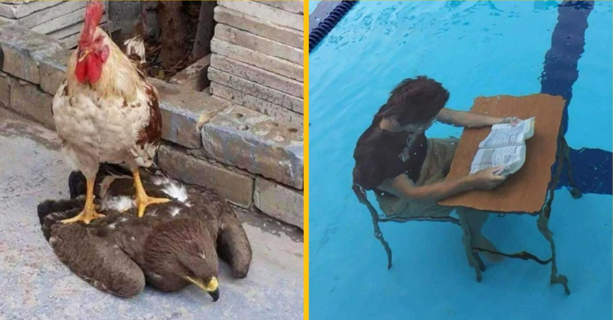 10 neuveriteľných záberov, ku ktorým by bolo potrebné vysvetlenie