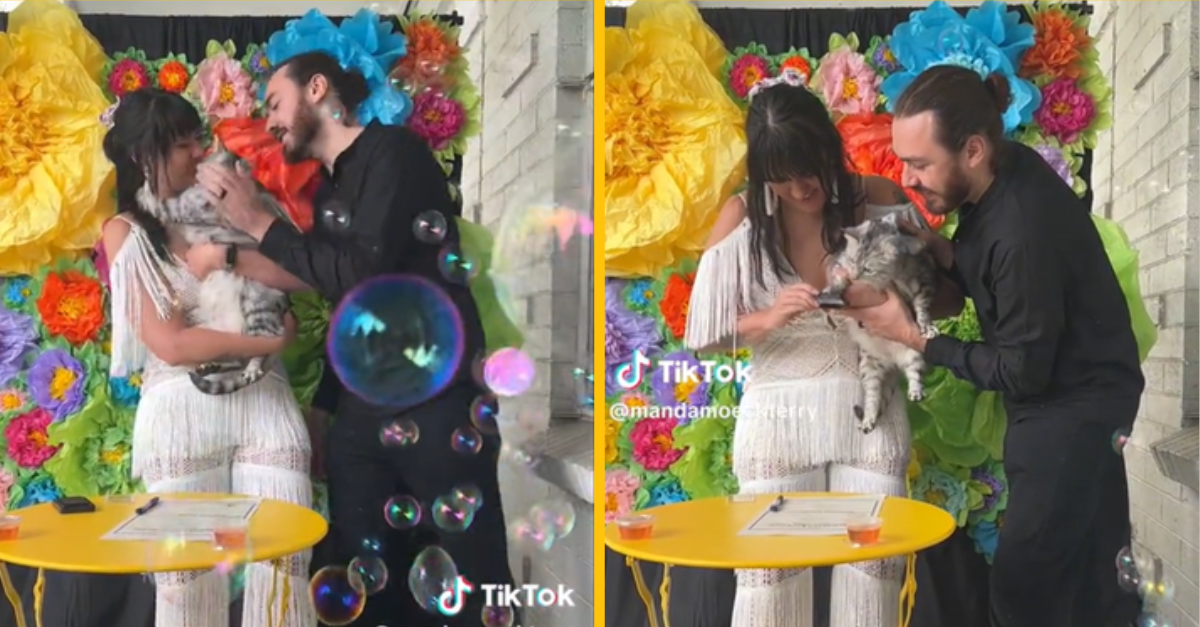 Naozaj originálna svadba: Za svedka im šla ich mačka!