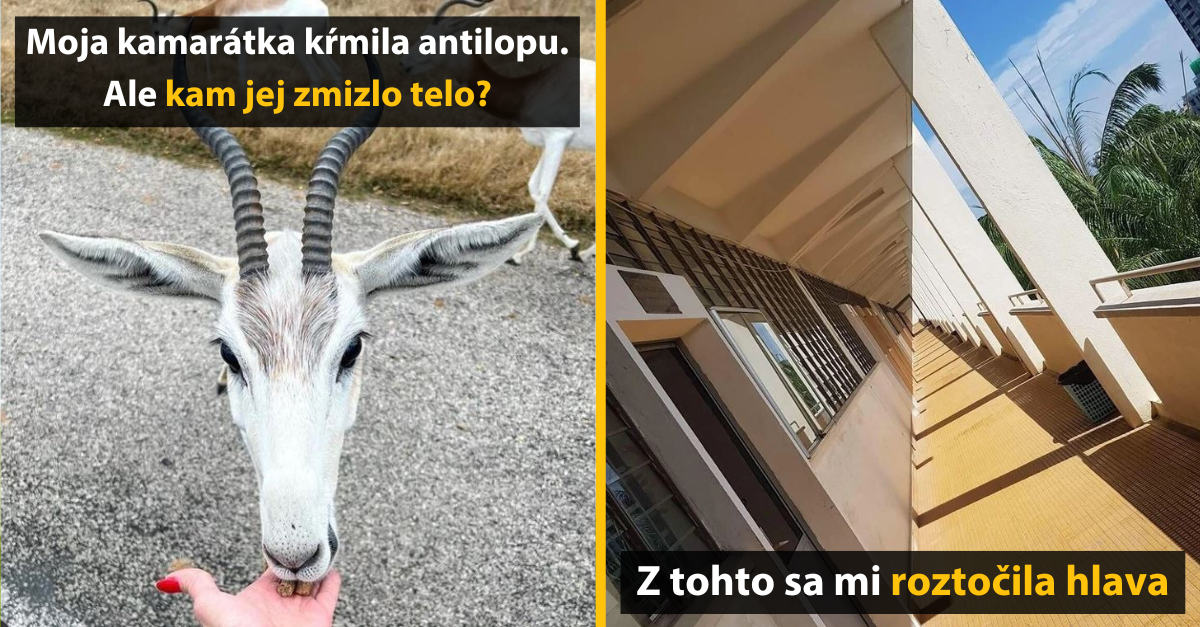 13 fotografii, ktoré viac prekvapia viac, ako výhra v lotérii