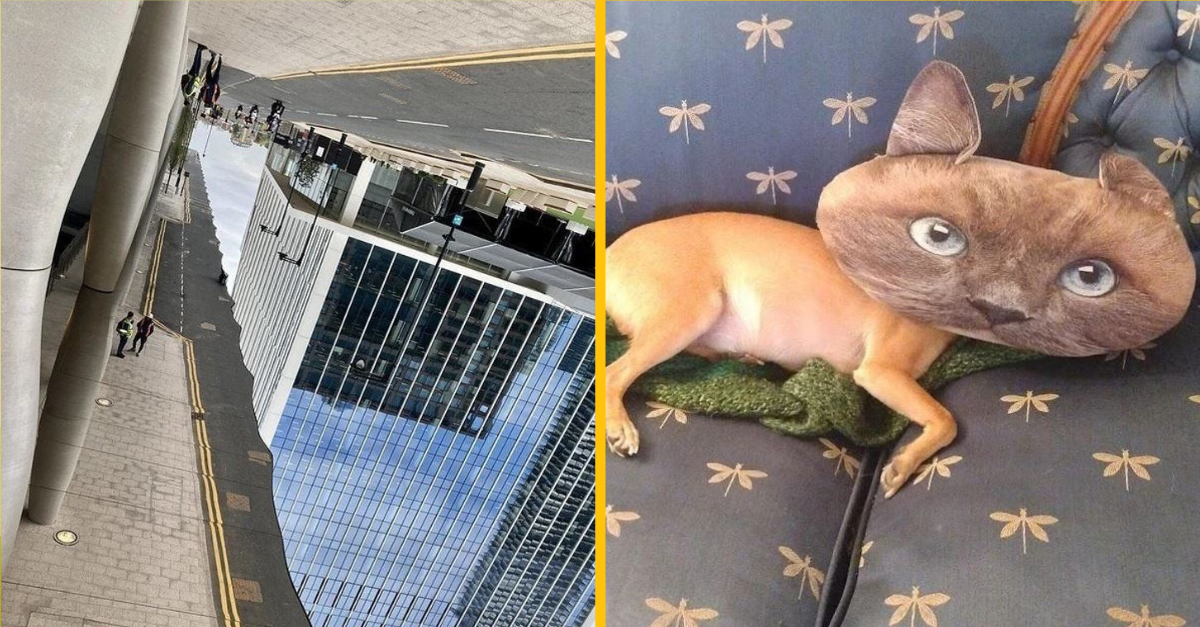 15 mätúcich fotografií, pri ktorých nebudete nerozumieť, ako vlastne vznikli