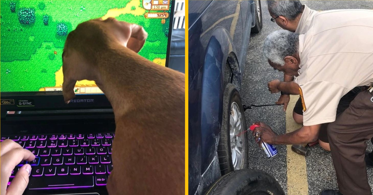 19 fotiek, ktoré dokážu zmiasť aj tú najbystrejšiu myseľ