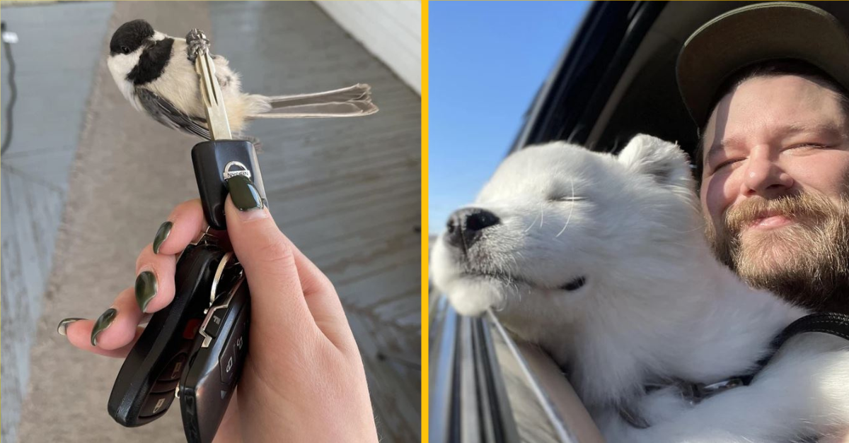 16 fotografií, ktoré vyžarujú celú vlnu roztomilosti