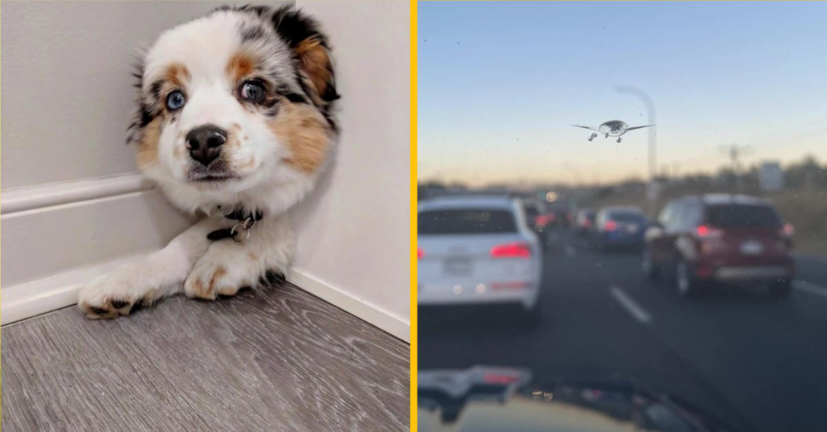 Tieto fotografie dajú vašej mysli poriadne zabrať