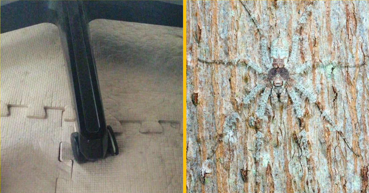 Fotografie, pri ktorých budete pochybovať o tom, čo vidíte