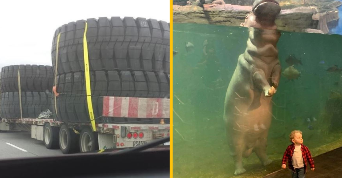 Nadrozmerné veci, o ktorých neuveríte, že skutočne existujú