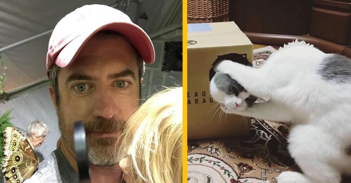 15 perfektne načasovaných fotiek, ktoré vás pobavia