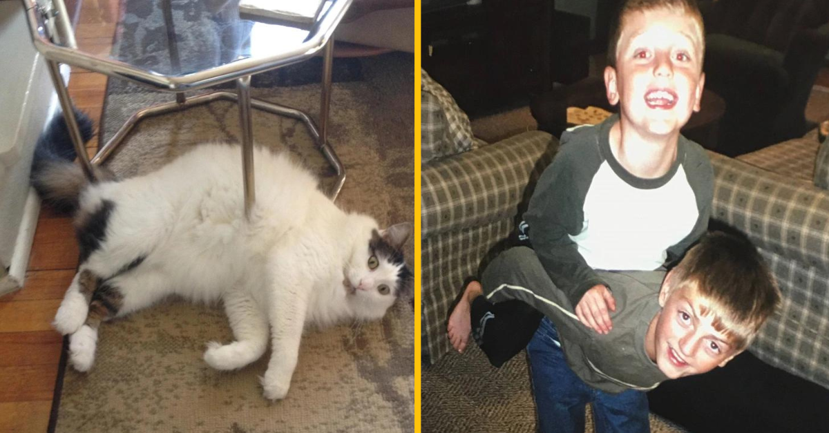 15-tim ľuďom sa podarilo urobiť dokonalé zábery bez toho, že by si to uvedomili