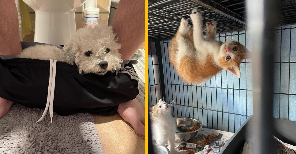 13 fotiek, ktoré vám pomôžu začať deň v dobrej nálade