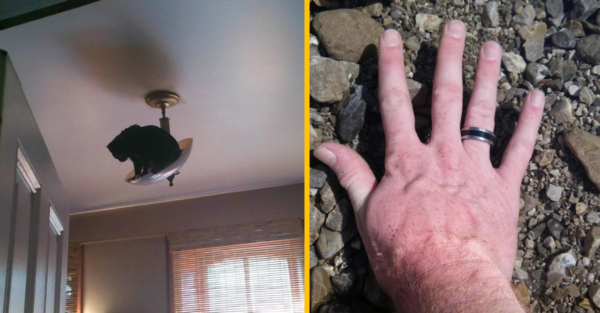 14 ľudí, ktorým sa stalo niečo, čo vôbec nečakali