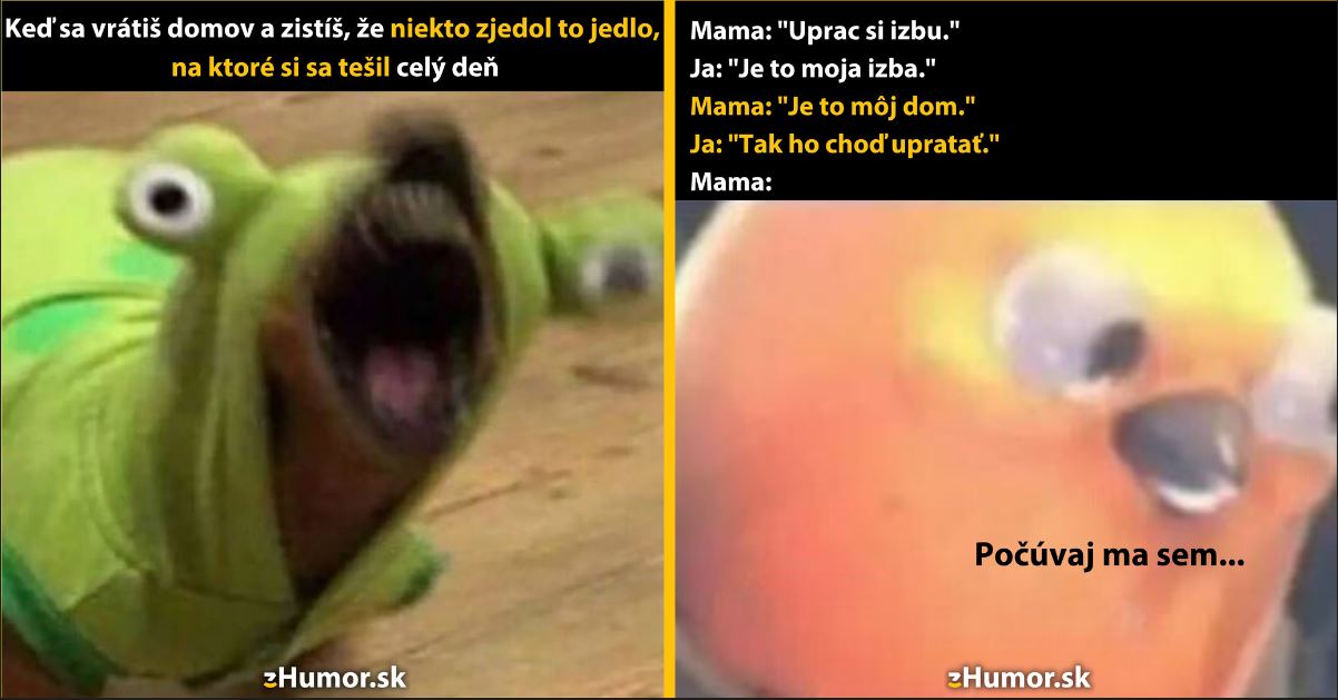 Zopár memečiek, ktoré vznikli, aby ti spríjemnili deň #1312: Celý deň som sa tešil.