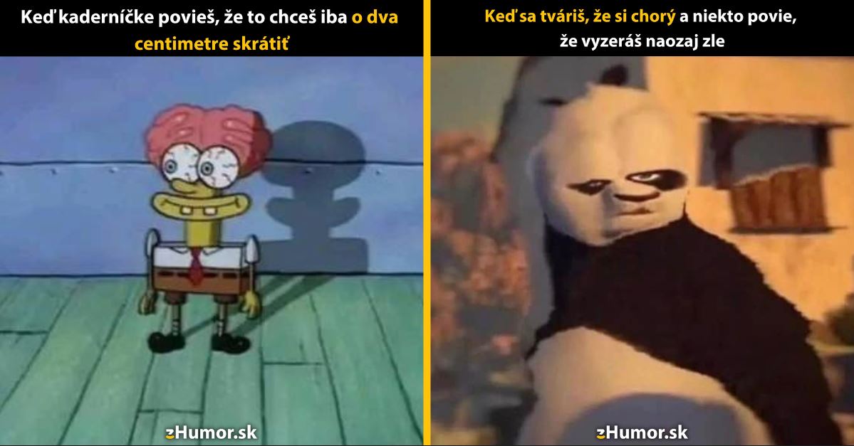 Zopár memečiek, ktoré vznikli, aby ti spríjemnili deň #1315: Poprosím vás skrátiť o dva centimetre.