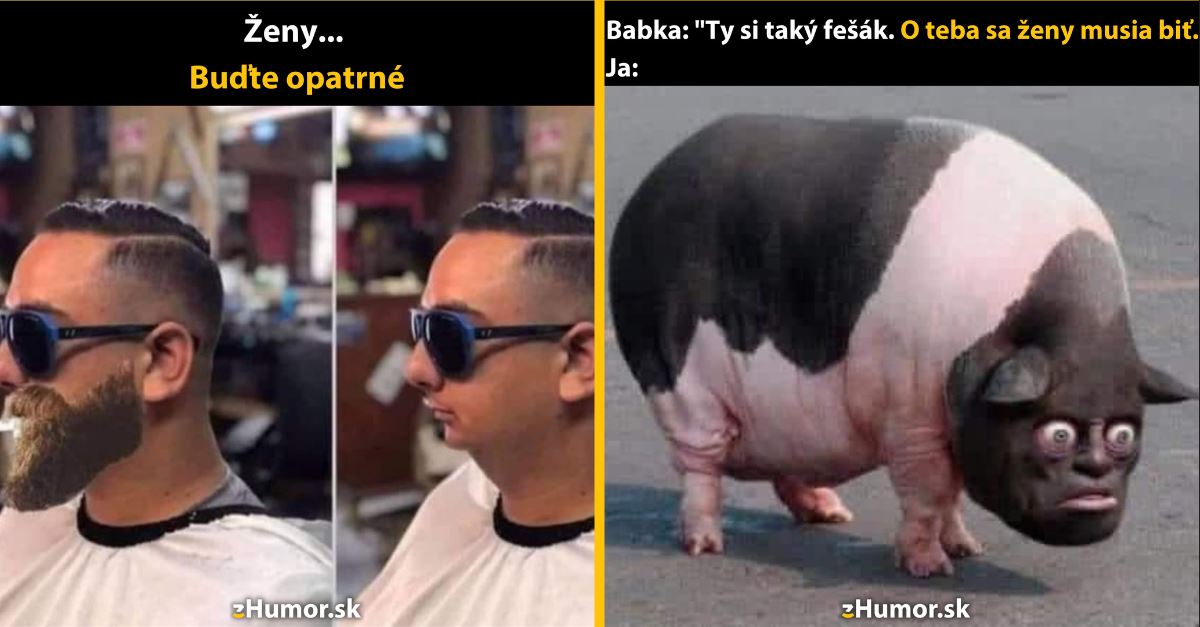 Zopár memečiek, ktoré vznikli, aby ti spríjemnili deň #1316: A vy ste kto?