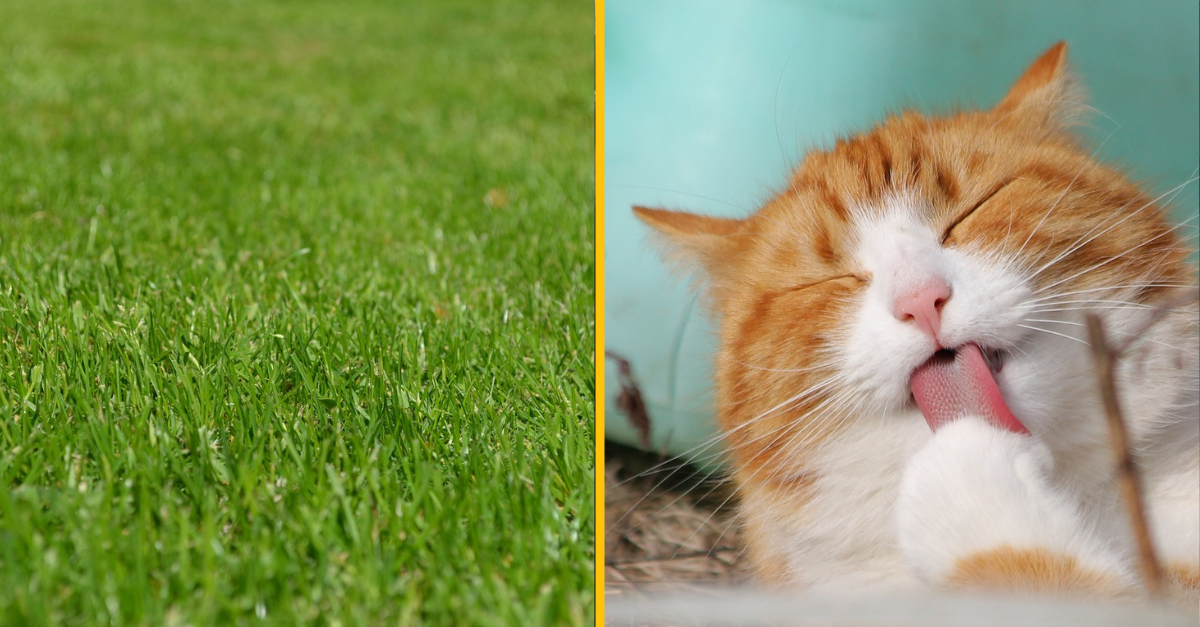 Ľudia sa podelili o historky o ich najhorších susedoch. Neuveríte, vedľa koho musia bývať