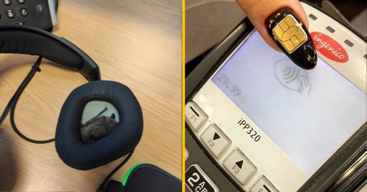 12 fotiek, ktoré potvrdzujú, že náš svet je plný zaujímavostí