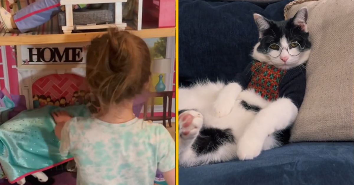 Kocúr sa stal súčasťou domčeka na hranie a vyzerá to, že to zbožňuje. Pozrite si virálne zábery