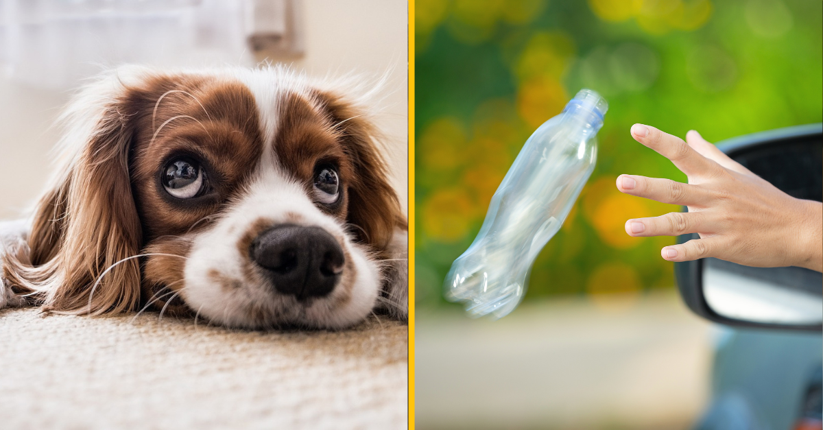 Ľudia sa podelili o to, čo podľa nich prezradí, že je niekto zlý človek