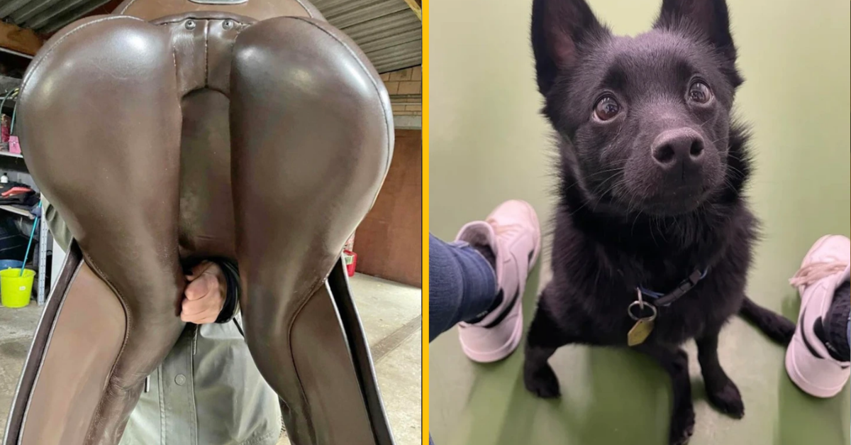 12 optických ilúzií zo skutočného sveta, ktoré vám potrápia zmysly